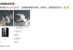 吃瓜翻车小说后续免费阅读,幕后真相大揭秘